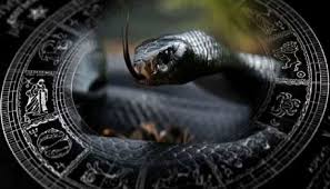 KAAL SARP DOSH POOJA